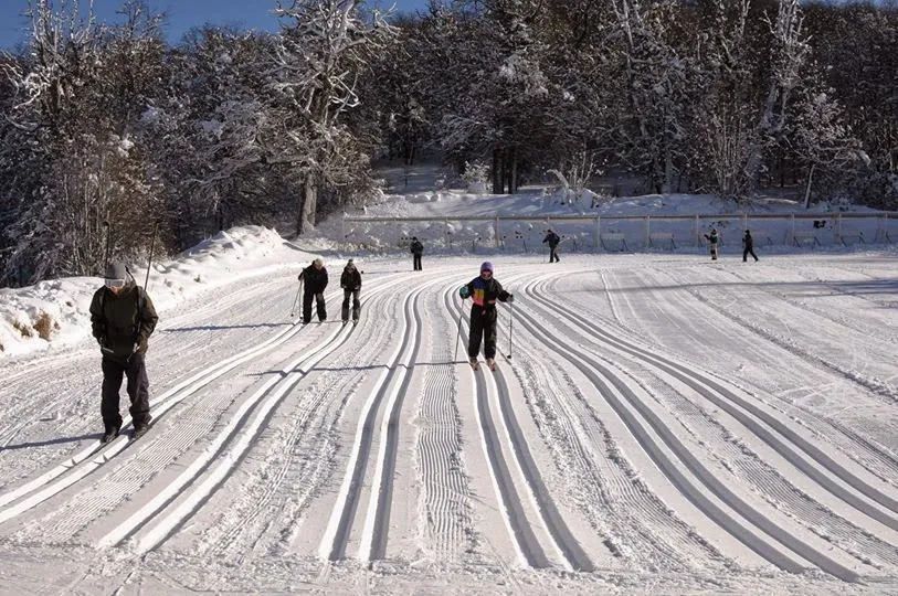 skinordicobariloche.jpg